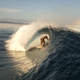 Image for article titled The Best Videos of the Week